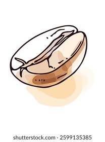 Coffee bean vector illustration. Isolated graphic element on white background for designs.