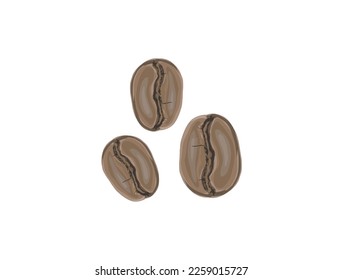coffee bean vector isolated on white. three coffee beans icon.