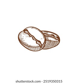 Coffee Bean Vector , Coffee Bean Sketch drawn vector, Coffee Bean Doodle Image.