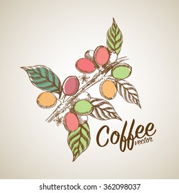 coffee beans