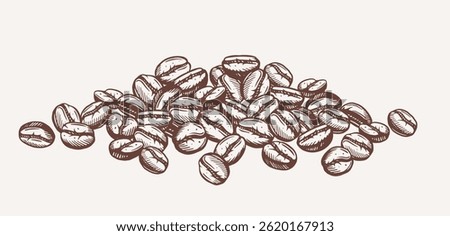 Coffee beans background. Banner with roasted Robusta or Arabica beans for coffee drink. Doodle design element for packaging or coffee shop menu. Hand drawn outline vector illustration