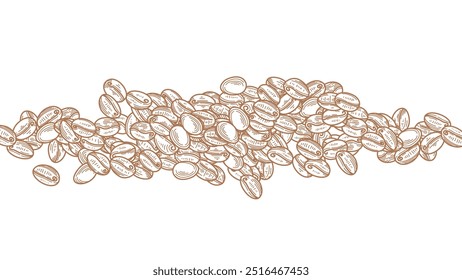 coffee beans background. Coffee beans in frame, border. Coffee beans isolated on a white background. Coffee Beans Illustration for packaging.