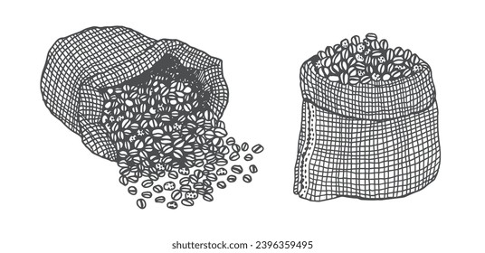 Coffee beans in a bag, hand drawn vector illustration isolated on white background