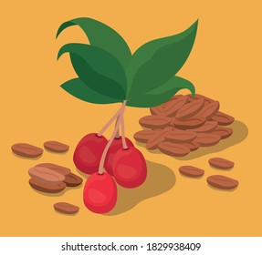 coffee beans berries and leaves design of drink caffeine breakfast and beverage theme Vector illustration