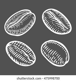 Coffee beans, berry, fruit, seed. Natural organic caffeine. Green coffee, luwak. White on black background. Hand drawn sketch vector illustration coffe.