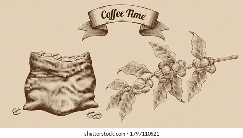 Coffee beans in burlap sack and fresh coffee fruit, engraving style