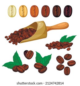 Coffee beans collection. Vector illustration cartoon flat icon set isolated on white background.