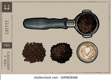 Coffee beans, Cup, Filter holder and Ground roasted coffee - Vector illustration - Hand drawn