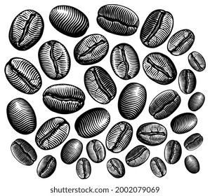 Coffee beans. Design set. Editable hand drawn illustration. Vector engraving. Isolated on white background. 8 EPS