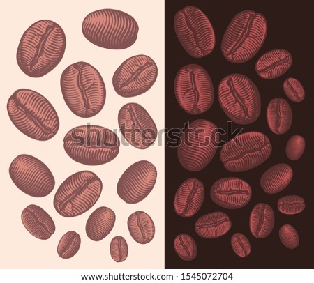 Coffee beans. Design set. Hand drawn engraving. Editable vector vintage illustration. Isolated on light and dark backgrounds. 8 EPS 