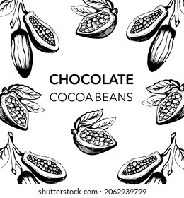 Coffee beans design template. Chocolate cocoa beans. Vector illustration. 