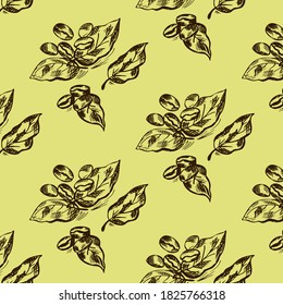 Coffee beans doodle pattern. Seamless picture on a white background. Vector illustration.