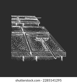 Coffee beans drying, illustration in engraving style, vintage hand drawing in vector