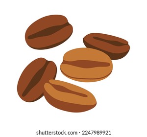 Coffee beans flat icon Tropical grains Plants cultivation. Vector illustration