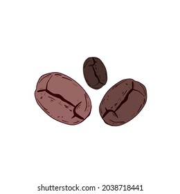 Coffee beans. Food ingredients. Vector illustration.