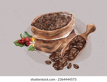 Coffee Beans and fruit coffee illustrations are still in the scope ready to be roasted in the coffee maker.