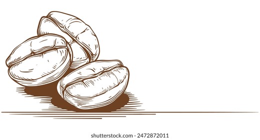 coffee beans graphic style hand-drawn vector illustration.