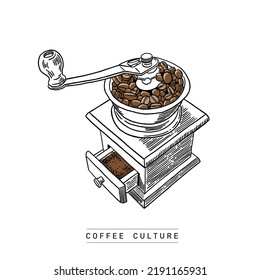 Coffee beans in Coffee Grinder Hand drawn line art illustration