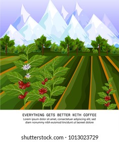 Coffee Beans Growing In Farm. Harvest Fields Vector Illustrations