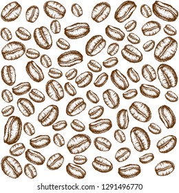 

Coffee beans  hand drawn