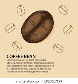 Coffee beans hand drawn in brown with dotted shade and simplify