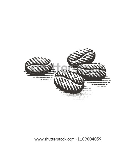 Coffee beans. Hand drawn engraving style illustrations.