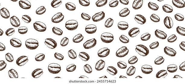 Coffee beans hand drawn illustrations.