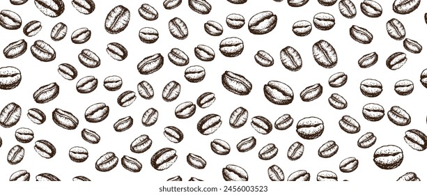 Coffee beans hand drawn illustrations.