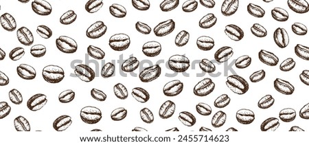Coffee beans hand drawn illustrations.