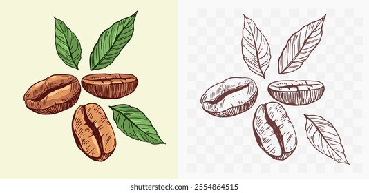 Coffee beans, hand drawn sketch, vector illustration