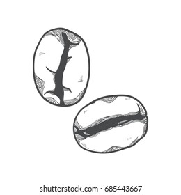 Coffee beans hand-drawn style, vector illustration