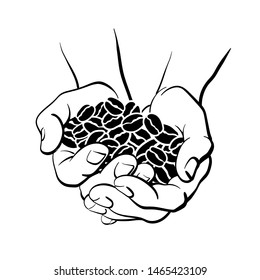 Coffee Beans In Hands. Top View. Vector Art Line Illustration On White Background. Organic Harvest, Aroma Drink, Farm, Agricultural Products. Grain Set. Graphic Card.
