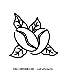 Ícone de grãos de café. café, grãos, assado, aroma, cafeína, orgânico, semente, expresso. Ilustração de ícone de vetor