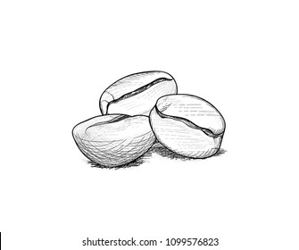 Coffee beans. Coffee icon set sketch. Line art doodle illustration