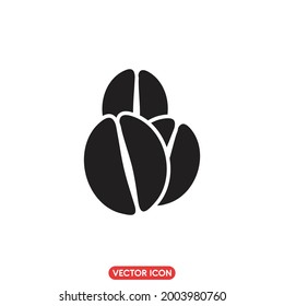coffee beans icon. vector illustration