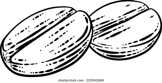 Coffee beans illustration in a vintage woodcut retro style