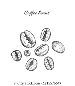 Coffee beans. Isolated on a white background. Sketching style.