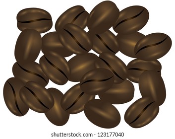 Coffee Beans Isolated on White Background Illustration Vector