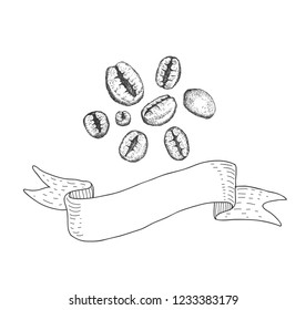 Coffee beans isolated on a white background with ribbon. Sketching style.