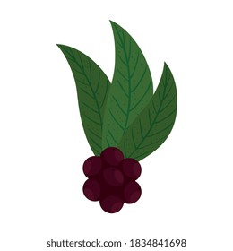 coffee beans with leaves design of drink caffeine breakfast and beverage theme Vector illustration