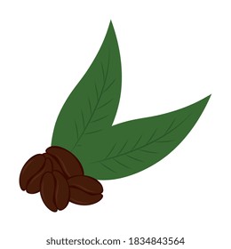 coffee beans with leaves isolated design of drink caffeine breakfast and beverage theme Vector illustration