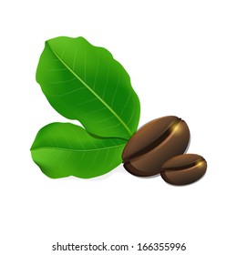 Coffee beans and leaves isolated on white background