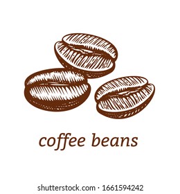 Coffee beans. linocut. Vector illustration. 