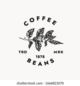 Coffee beans logo template for your creative projects and cafe branding. Isolated graphic design template, vintage minimalist style with coffee plant illustration