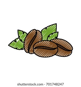 Coffee beans natural