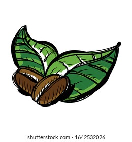 Coffee beans with nature leaves -- sketchy cartoon illustration style