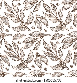 Coffee beans on branch sketch seamless pattern, raw grains or seeds on twig vector. Plant, drink ingredient, organic product endless texture. Energetic beverage, agriculture and cultivation or farming