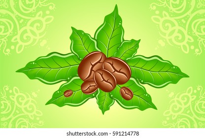coffee beans on green coffee leaves