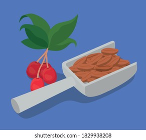 coffee beans on spoon berries and leaves design of drink caffeine breakfast and beverage theme Vector illustration