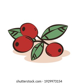 Granos de café de fondo blanco. Vector de semillas de café.
